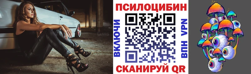 mega   Жуковка  Псилоцибиновые грибы Magic Shrooms 