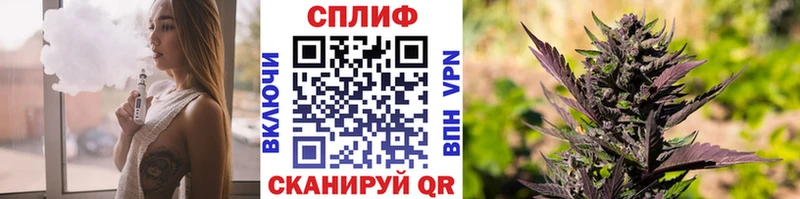 ссылка на мегу ССЫЛКА  Жуковка  маркетплейс телеграм  Каннабис SATIVA & INDICA 